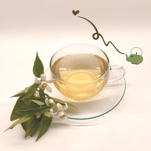 Té Verde Costa de Azahar - Imagen 3