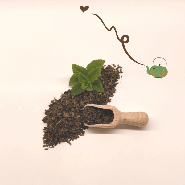 Menta Piperita - Imagen 2