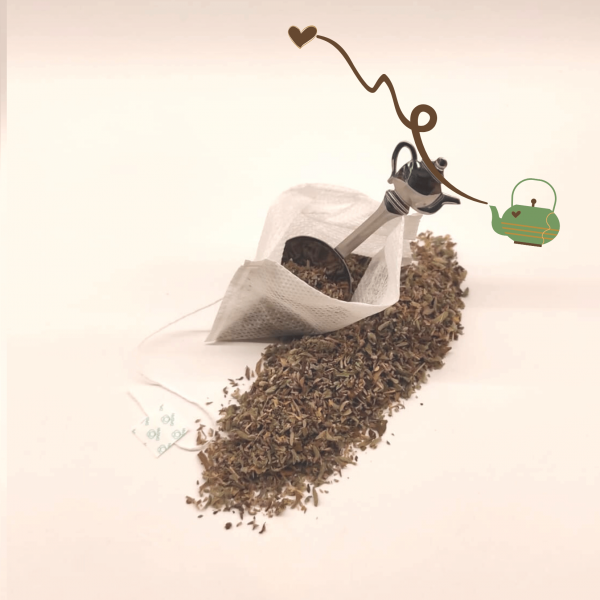 Poleo de Menta - Imagen 2